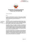 Vista preliminar de documento RGG-98-2025-SUNAFIL