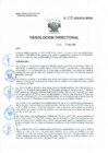 Vista preliminar de documento RD 096-2025-INCENTIVO UNICO SUB CAFAE MAYO