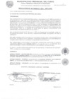 Vista preliminar de documento RA-10-2025
