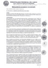 Vista preliminar de documento RA-133-2025