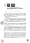Vista preliminar de documento RA-196-2025