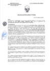Vista preliminar de documento RD-2155-2025-DSAIA-DIRIS-LE-MINSA