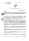Vista preliminar de documento RD-2160-2025-DSAIA-DIRIS-LE-MINSA