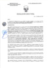 Vista preliminar de documento RD-2161-2025-DSAIA-DIRIS-LE-MINSA