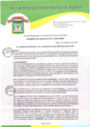 Vista preliminar de documento AC N°011-2025-CMDP