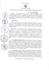 Vista preliminar de documento RER.294