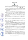 Vista preliminar de documento GRDE.017