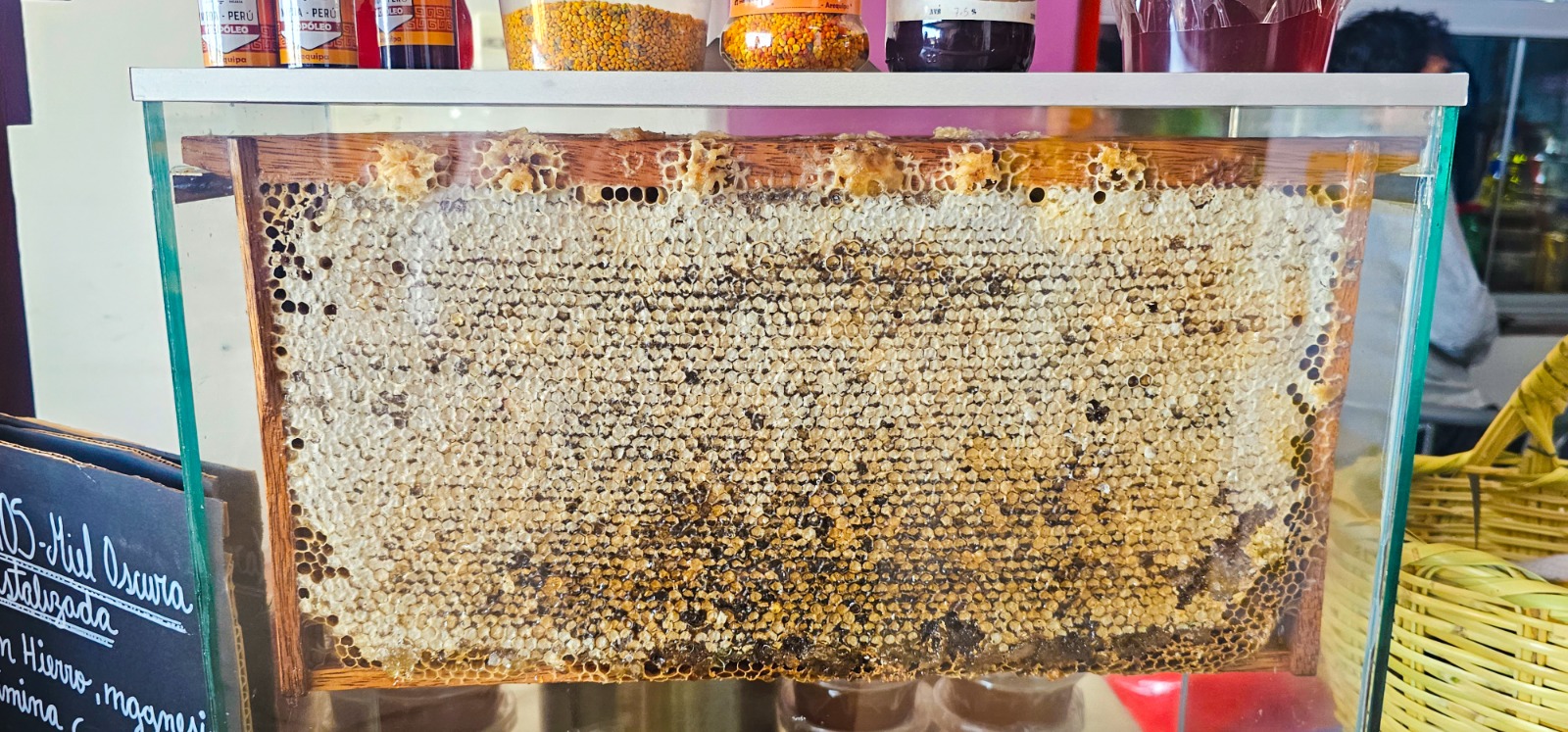 El evento buscó generar conciencia sobre la necesidad de proteger a estos valiosos insectos.