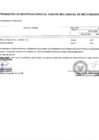 Vista preliminar de documento ANEXO N° 06 APROBACION DE MODIFICACIONES AL CUADRO MULTIANUAL DE NECESIDADES N° 00000040