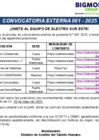 Vista preliminar de documento CONVOCATORIA EXTERNA 001-2025