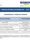 Vista preliminar de documento CRONOGRAMA CONVOCATORIA EXTERNA 001-2025
