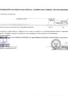 Vista preliminar de documento ANEXO N° 06 APROBACION DE MODIFICACIONES AL CUADRO MULTIANUAL DE NECESIDADES N° 00000042