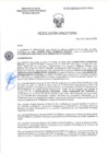 Vista preliminar de documento RD-2175-2025-DSAIA-DIRIS-LE-MINSA