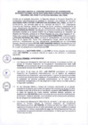 Vista preliminar de documento ANEXO 0804-2025-IN