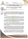 Vista preliminar de documento RSGN081-2025