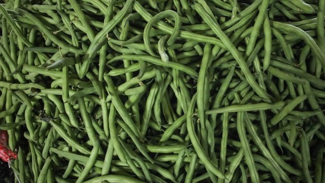 MIDAGRI