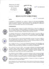 Vista preliminar de documento Resolución Directoral N° 128-2025-DG-INCN