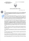 Vista preliminar de documento RD-2195-2025-DSAIA-DIRIS-LE-MINSA