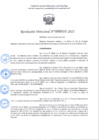 Vista preliminar de documento R.D 010-2025