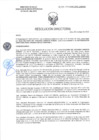 Vista preliminar de documento RD-2208-2025-DSAIA-DIRIS-LE-MINSA