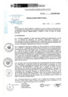Vista preliminar de documento 175-2025-INSN-DG