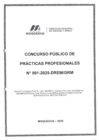 Vista preliminar de documento Bases Concurso Publico Practicas Profesionales 001-2025-DREM-GRM