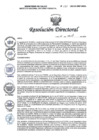 Vista preliminar de documento RD N° 131-2025-DG-INMP/MINSA