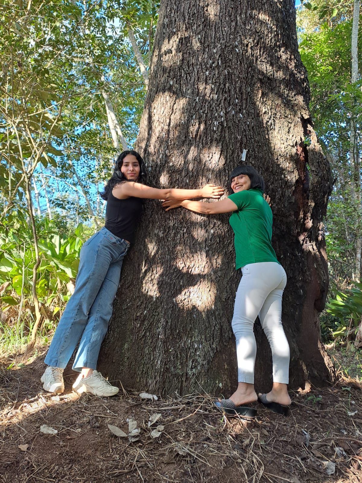 Archivo JPGE Del bosque a tu mesa: El camino de la castaña desde Madre de Dios al Perú entero