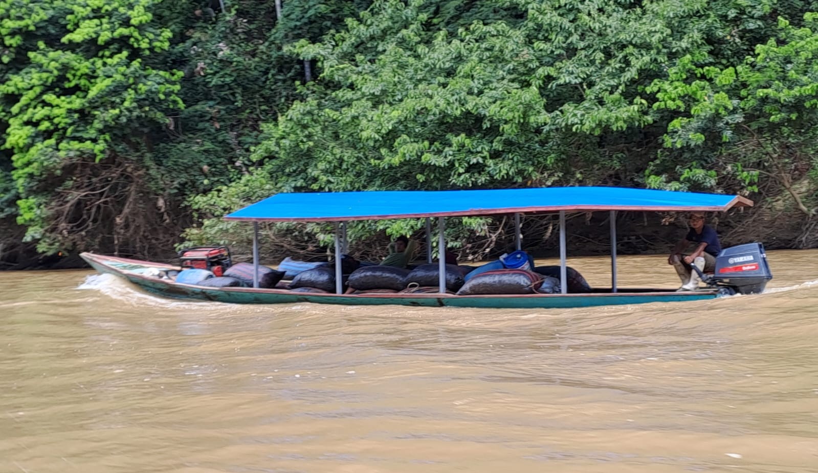 Archivo JPGE Del bosque a tu mesa: El camino de la castaña desde Madre de Dios al Perú entero