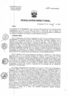 Vista preliminar de documento RD N°132-2025-DG-HNHU