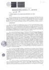 Vista preliminar de documento RGM-017-2025-MPC