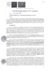 Vista preliminar de documento RGM-051-2025-MPC