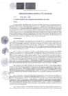 Vista preliminar de documento RGM-100-2025-MPC