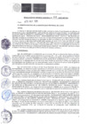 Vista preliminar de documento RGM-098-2025-MPC