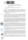 Vista preliminar de documento RGM-206-2025-MPC