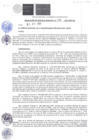 Vista preliminar de documento RGM-176-2025-MPC