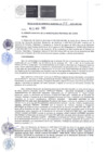 Vista preliminar de documento RGM-114-2025-MPC