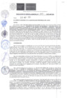 Vista preliminar de documento RGM-264-2025-MPC