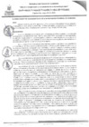 Vista preliminar de documento RGDSN009-2025