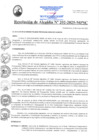 Vista preliminar de documento RA202-2025