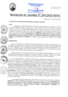 Vista preliminar de documento RA204-2025