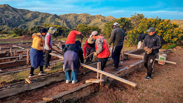 Construcción de camas almaciguera