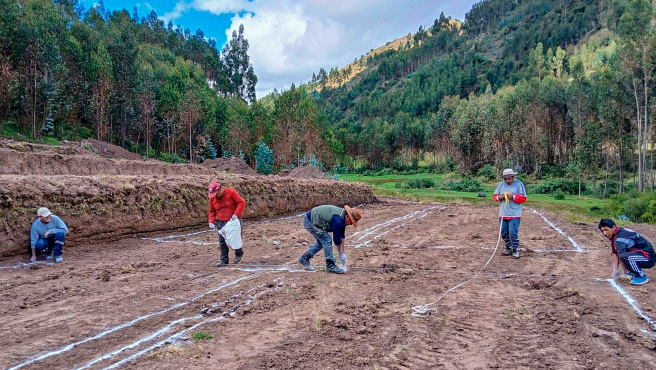 Preparación del terreno para la construcción de camas almaciguera
