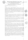 Vista preliminar de documento RA-392-2024-MPC
