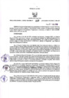 Vista preliminar de documento -2120878580951164559