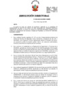 Vista preliminar de documento Resolución Directoral N.° 02393-2025-SUCAMEC-DAMMR