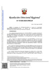 Vista preliminar de documento RDR 1558-2025-DRELM