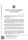 Vista preliminar de documento RDR 1498-2025-DRELM
