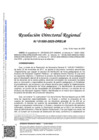 Vista preliminar de documento RDR 1595-2025-DRELM