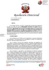 Vista preliminar de documento RD N°259-2025